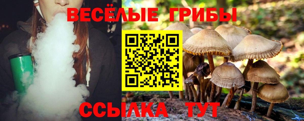 Псилоцибиновые грибы ЛСД  Вход с VPN  Минеральные Воды 
