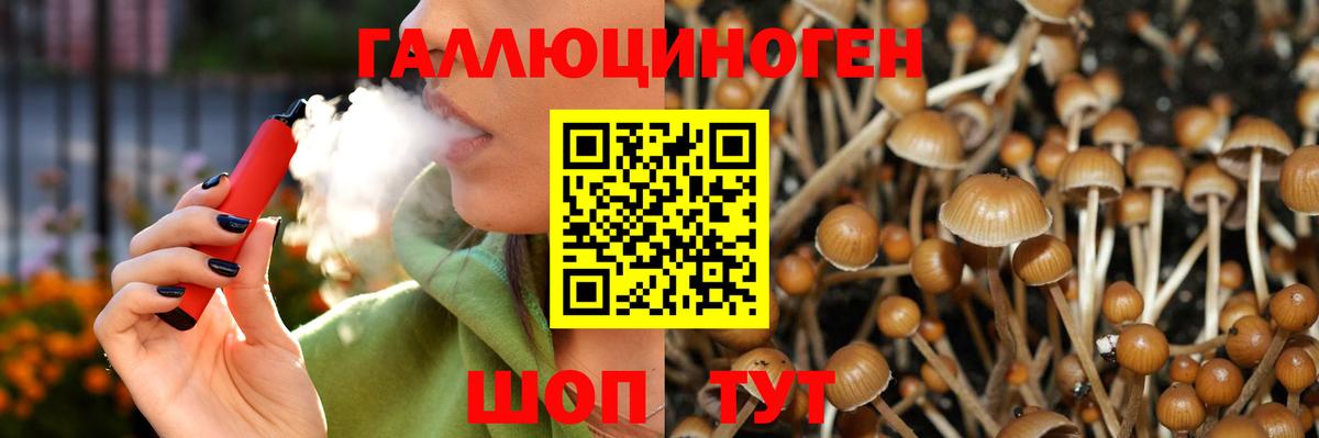 Псилоцибиновые грибы Psilocybe Минеральные Воды